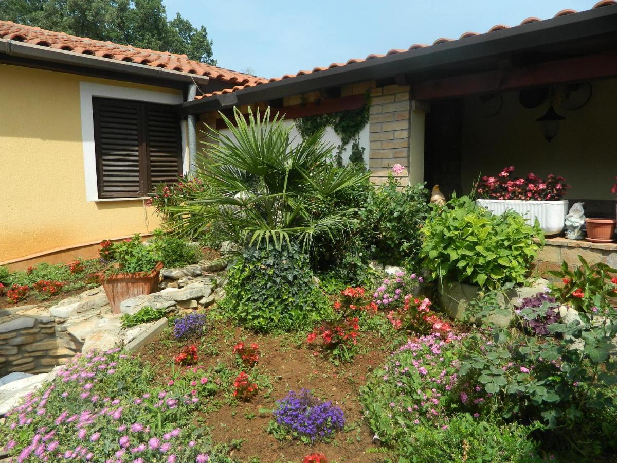 Apartments Vila Vanda 포레치 외부 사진